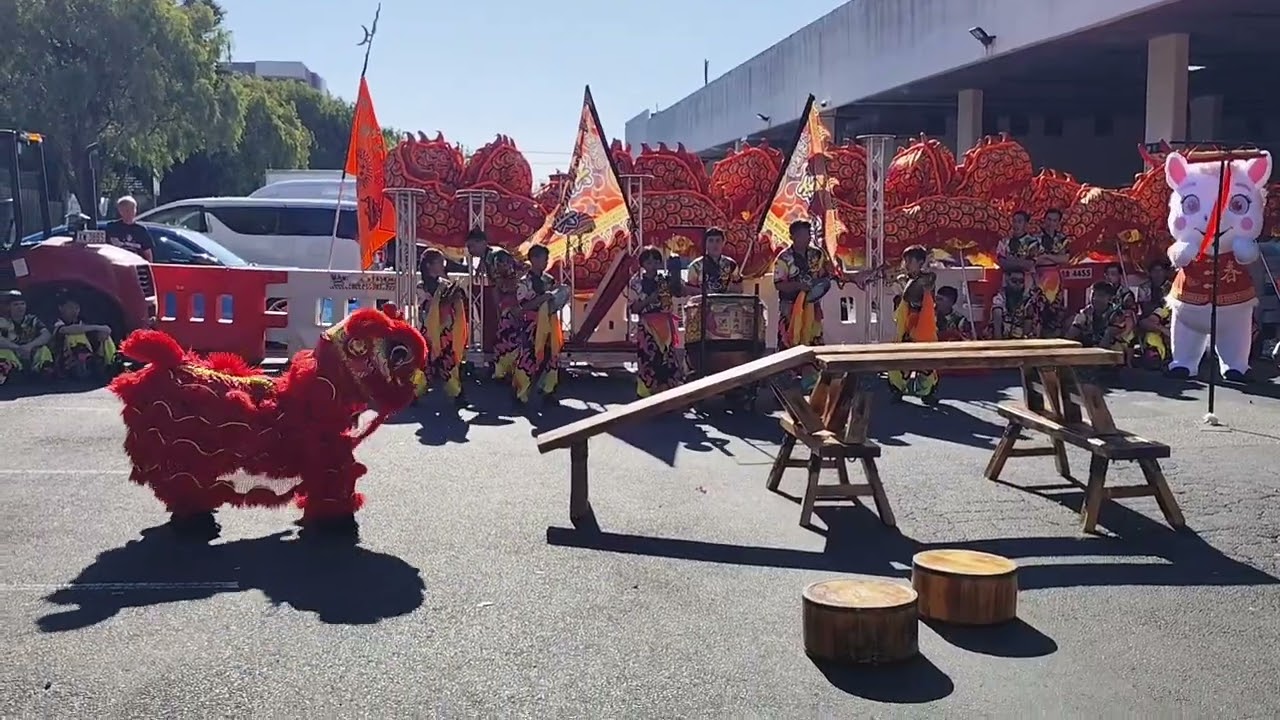 Sprinvale, Melbourne Chinese New Year Celebration: Traditional Chinese Lion Dance