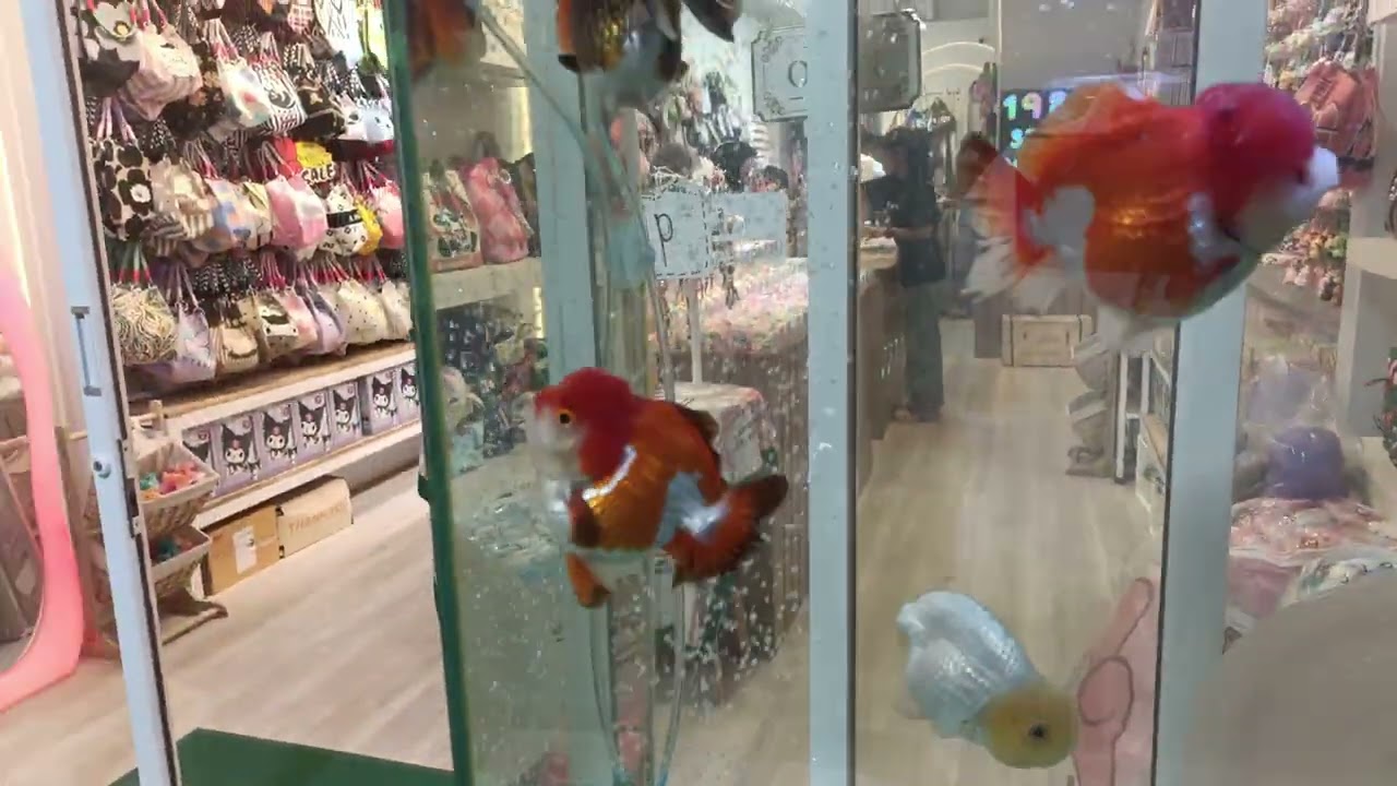 Gold fish in front 1988 studio accessories shop hatyai
