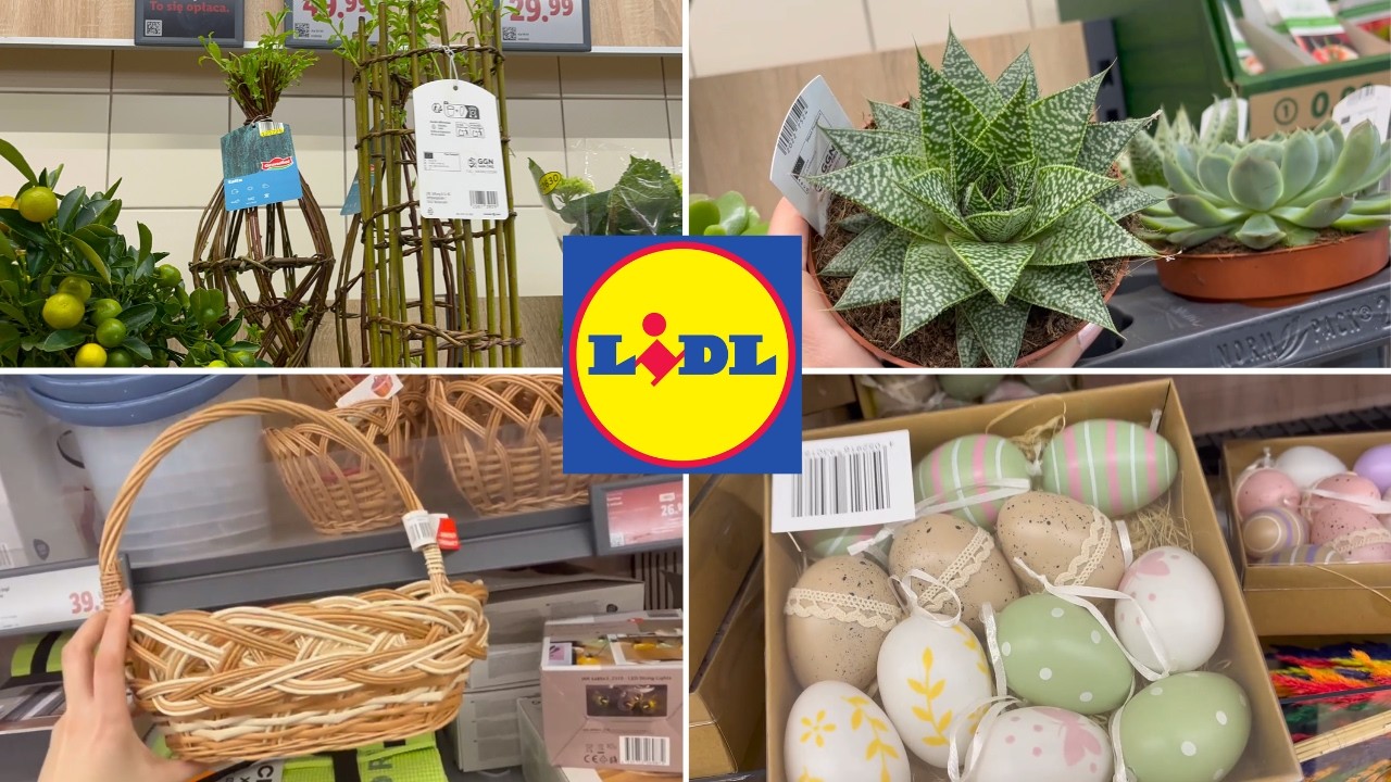 Przegląd roślin w Lidlu🌿Wierzba pleciona 🌿Krzewy cytrusowe🍊Koszyki na Wielkanoc 🐣