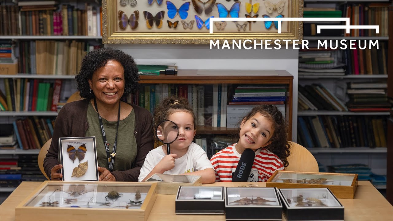 Kids Ask Questions Episode 2 | Entomology with Diana | Manchester Museum