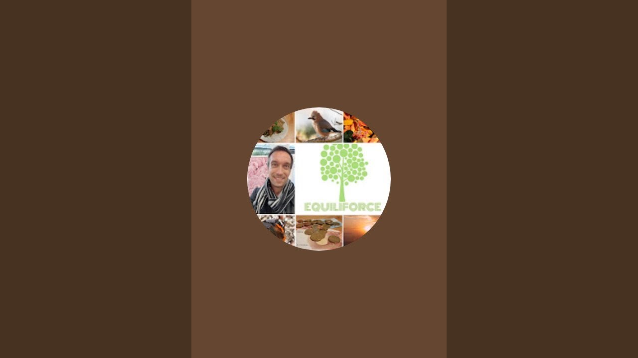 Je cuisine en direct un cassoulet vegan et un curry de champignons