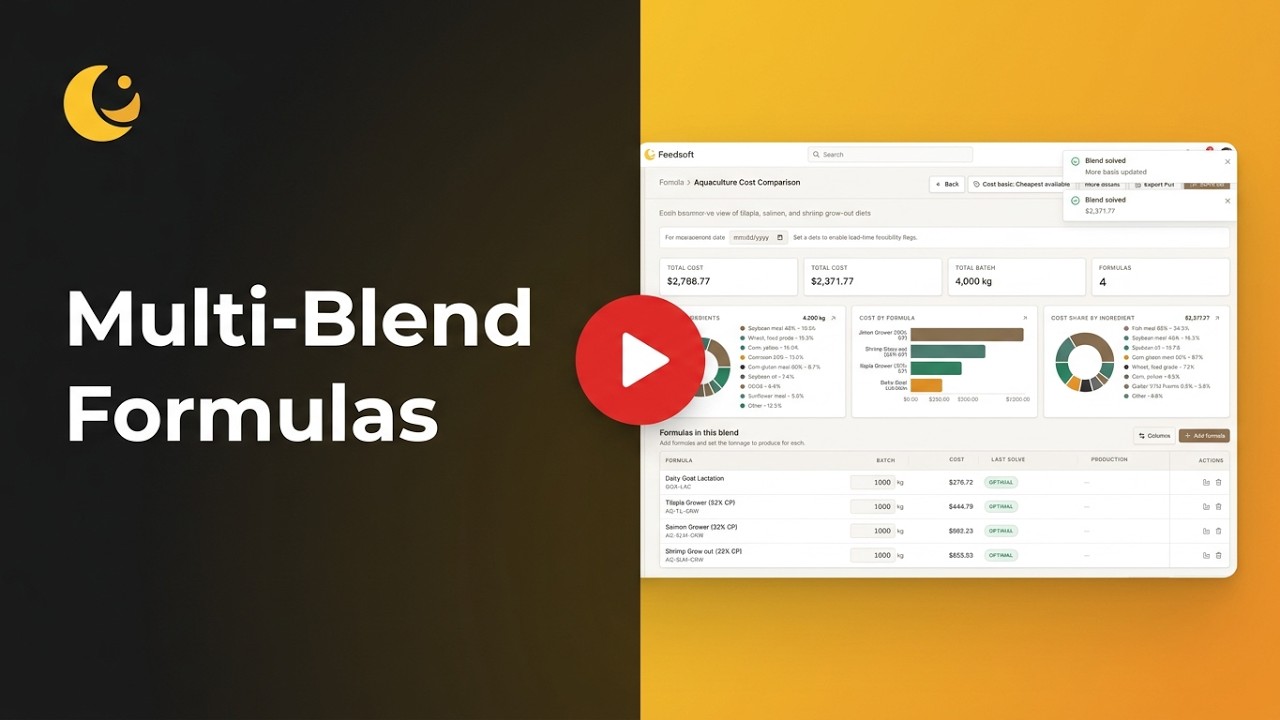 Optimize Multiple Feed Formulas