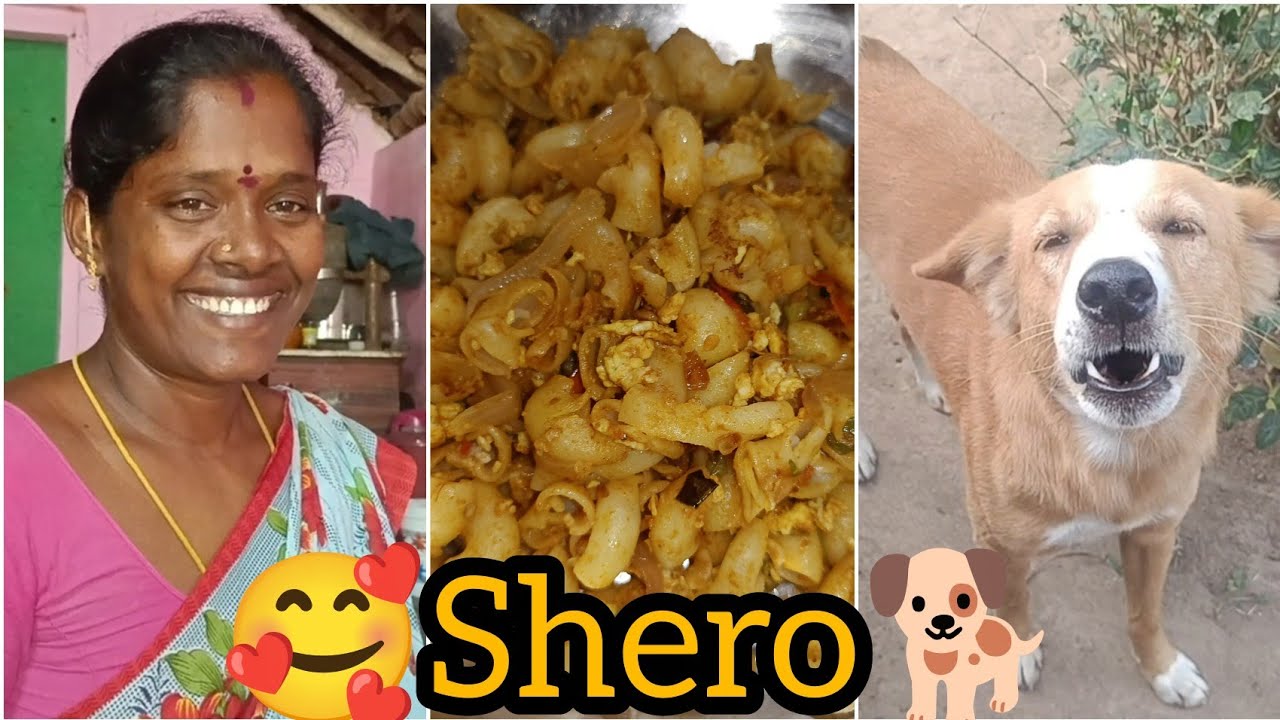 🐕shero-வோட குறும்புகளைப் பாருங்களேன்! ரொம்ப சுட்டி shero 🐶|gramathu ponnu saranya
