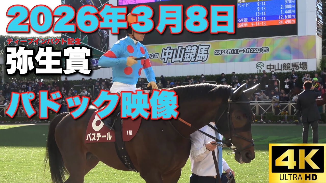 【4K動画】2026年弥生賞パドック【バステール】