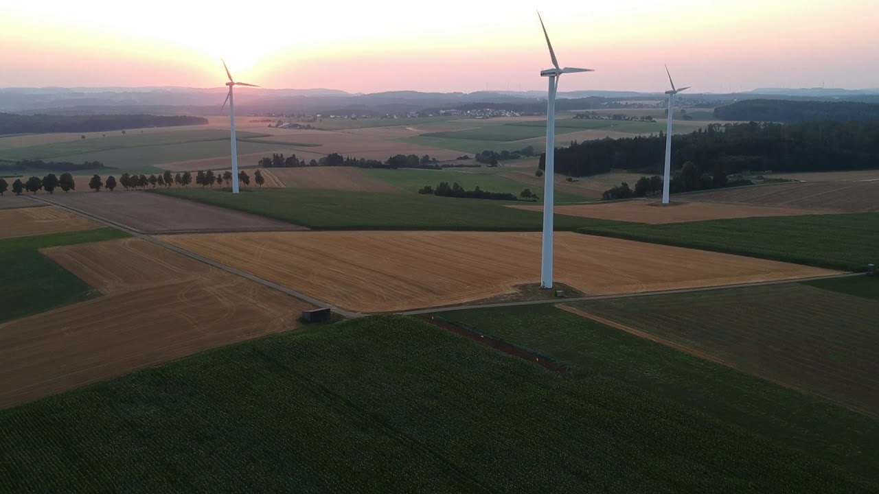 Rapsfeld, Lonsee