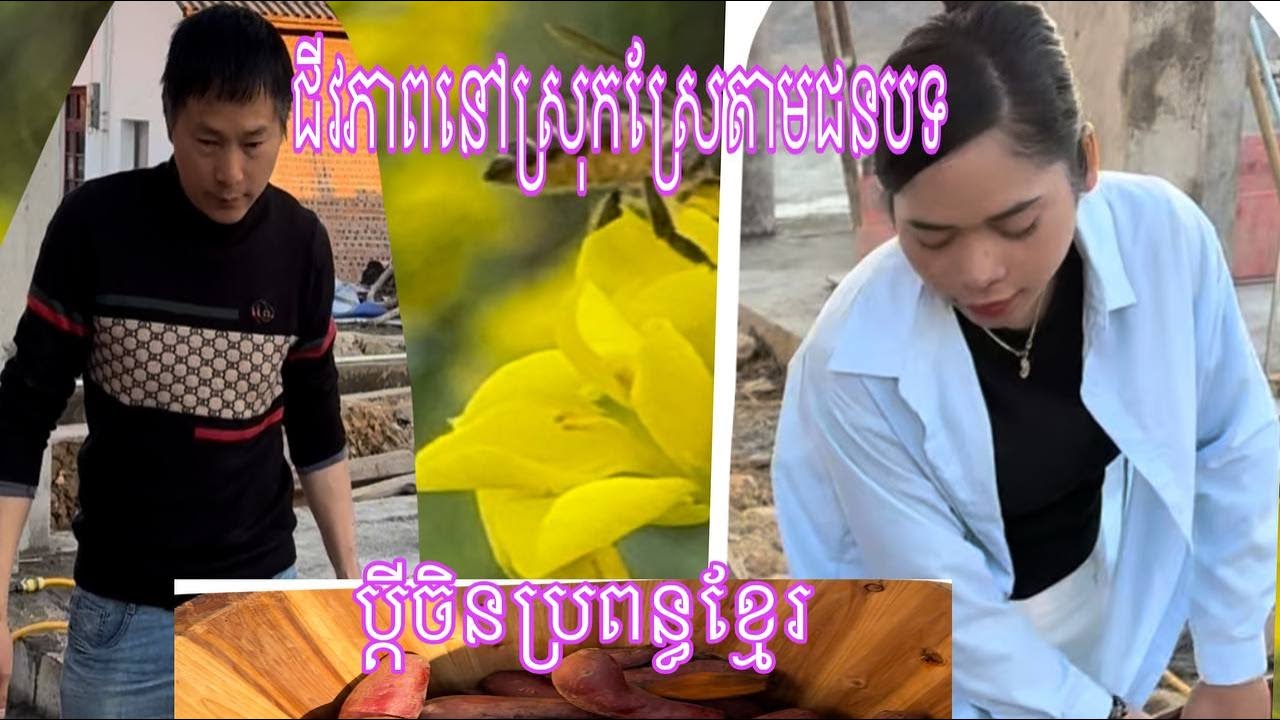 យ៉ាប់ណាស់ ខាតតែយើងហ្នឹង ខំជួលអស់លុយច្រើនដែរ