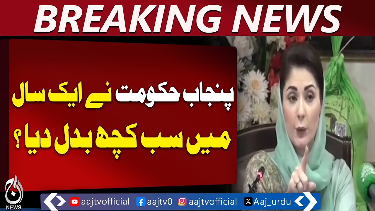 Punjab Government Achievements | Record Performance in One Year - Aaj Pakistan News