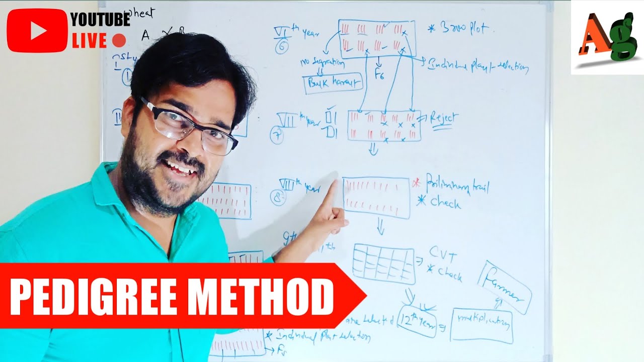 Pedigree Method in Plant Breeding | Method of Handling Segregating Generation | Agriculture