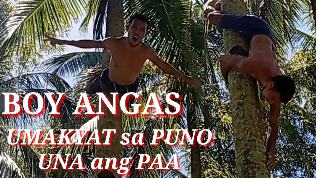 #boyangas      kinasa ni boy angas ang hamon baba una ulo akyat una paa,