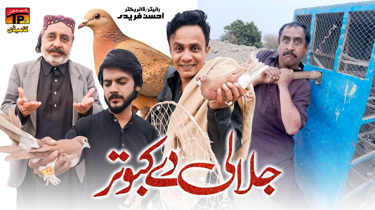 Jalali De Kabotar | Akbar Jalali | TP Comedy