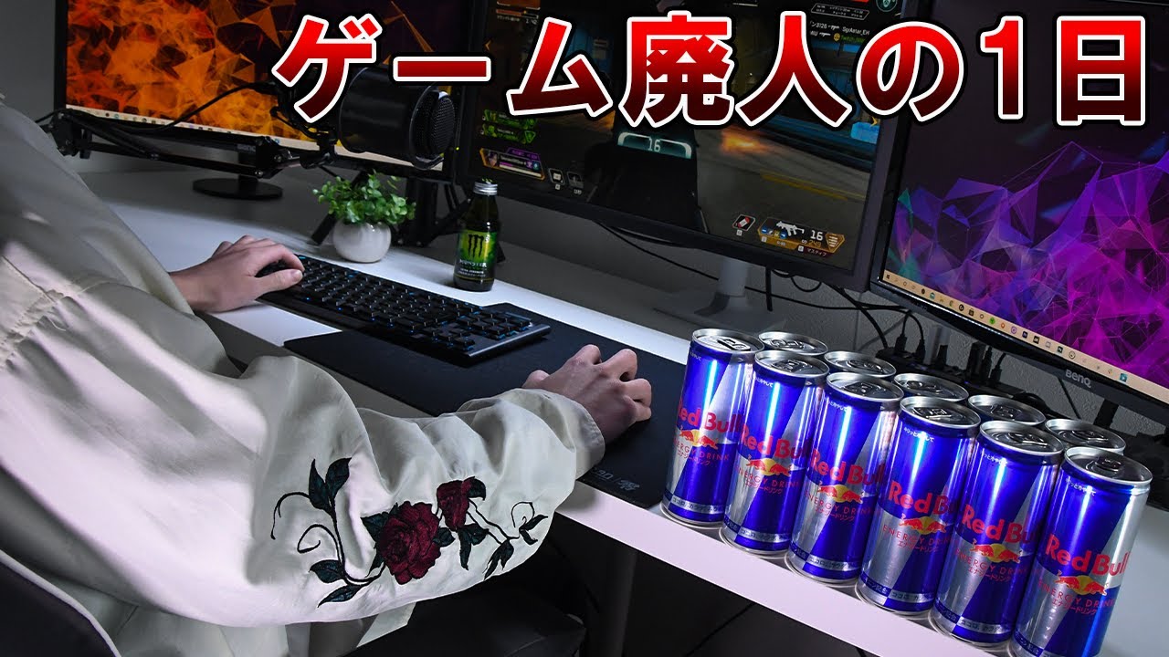 【ゲーム廃人ニート引きこもりの1日】外出自粛期間ってゲーマーにとっては最高じゃね？