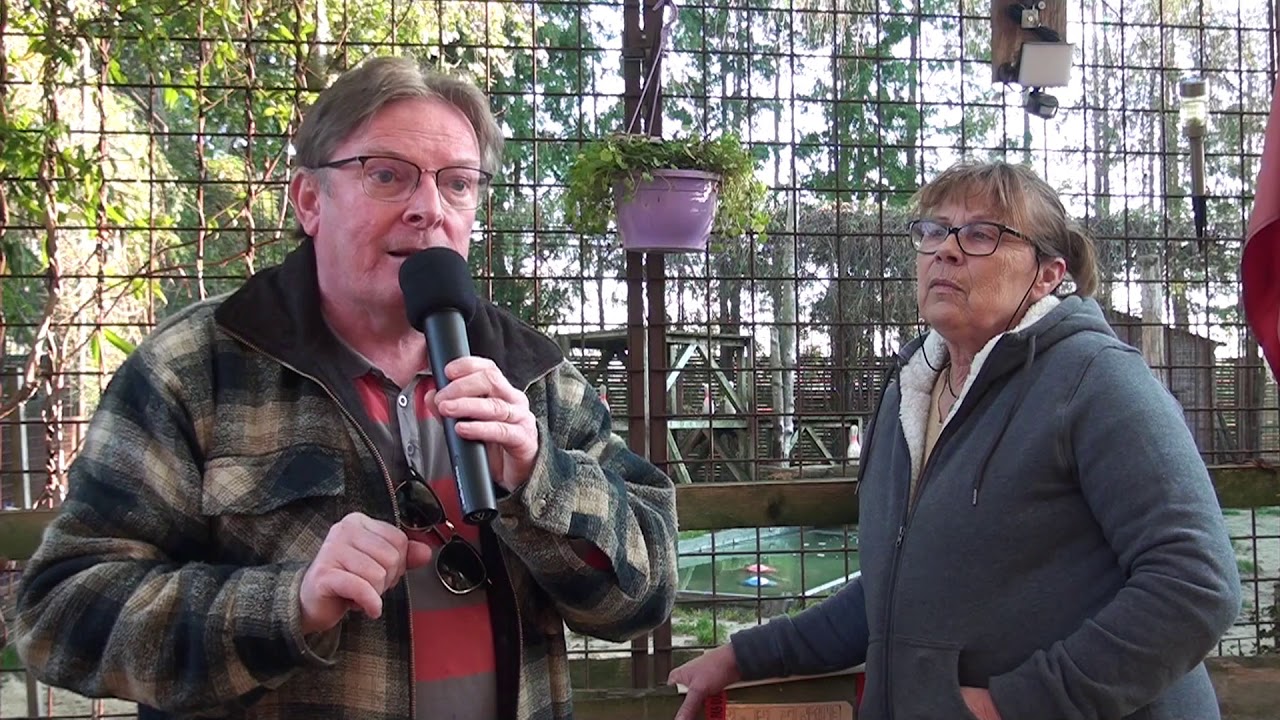Coup de gueule de Tv 76Pointe de Caux Pour caresse de Tigre