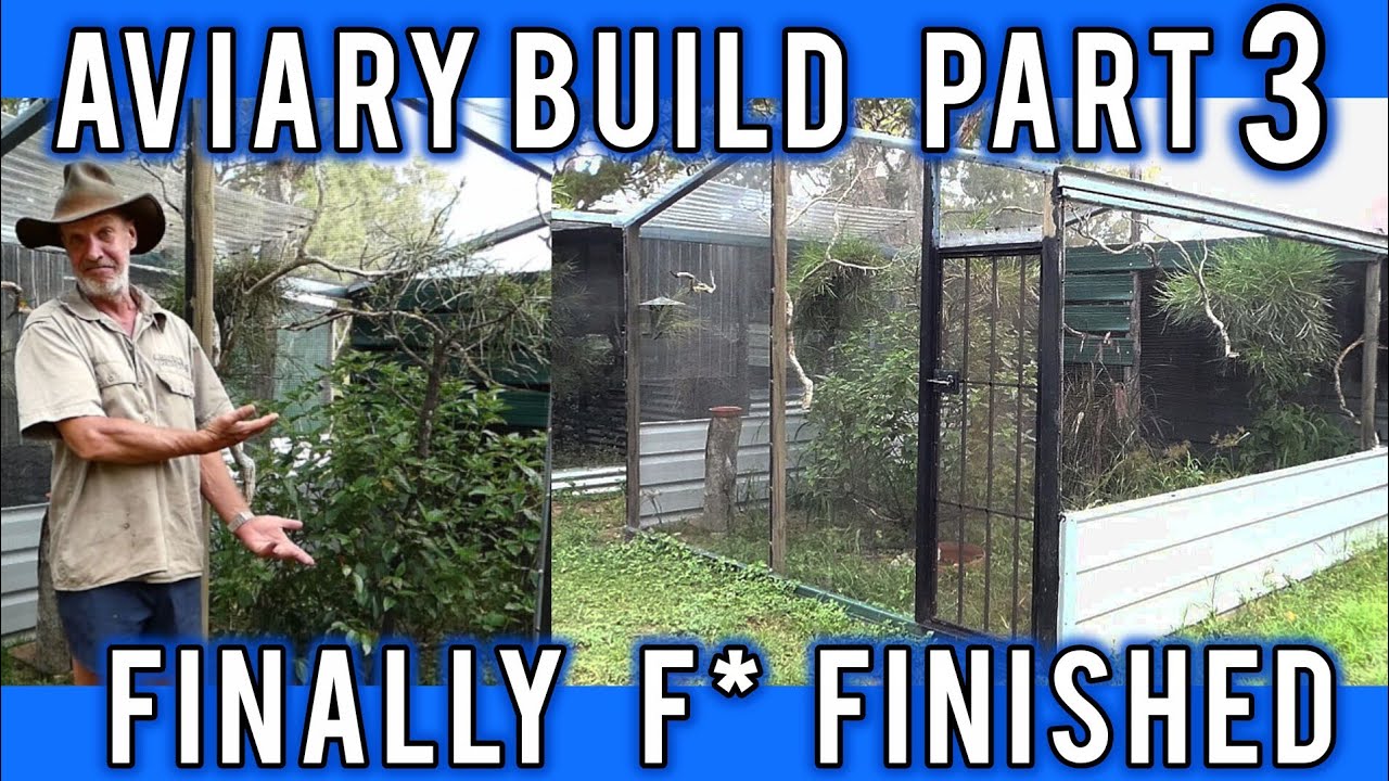 Aviary Build Part 3: Micks new Aviary is finally finished.
