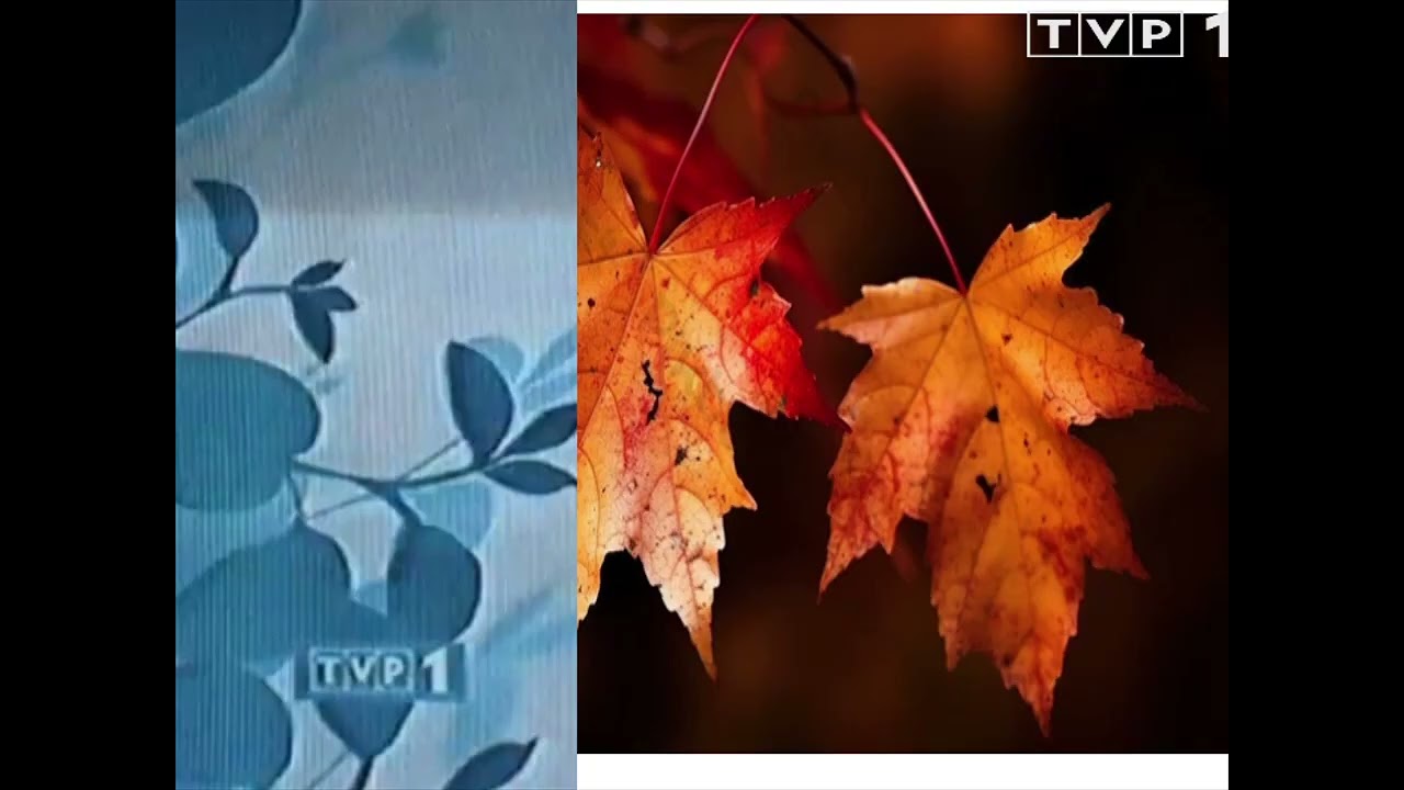 Program Pierwszy -(Fan-mode) Oprawa Jesienna 14. 09. 2015 -  14 .12 2015 (Oprawa 2006 -2010)