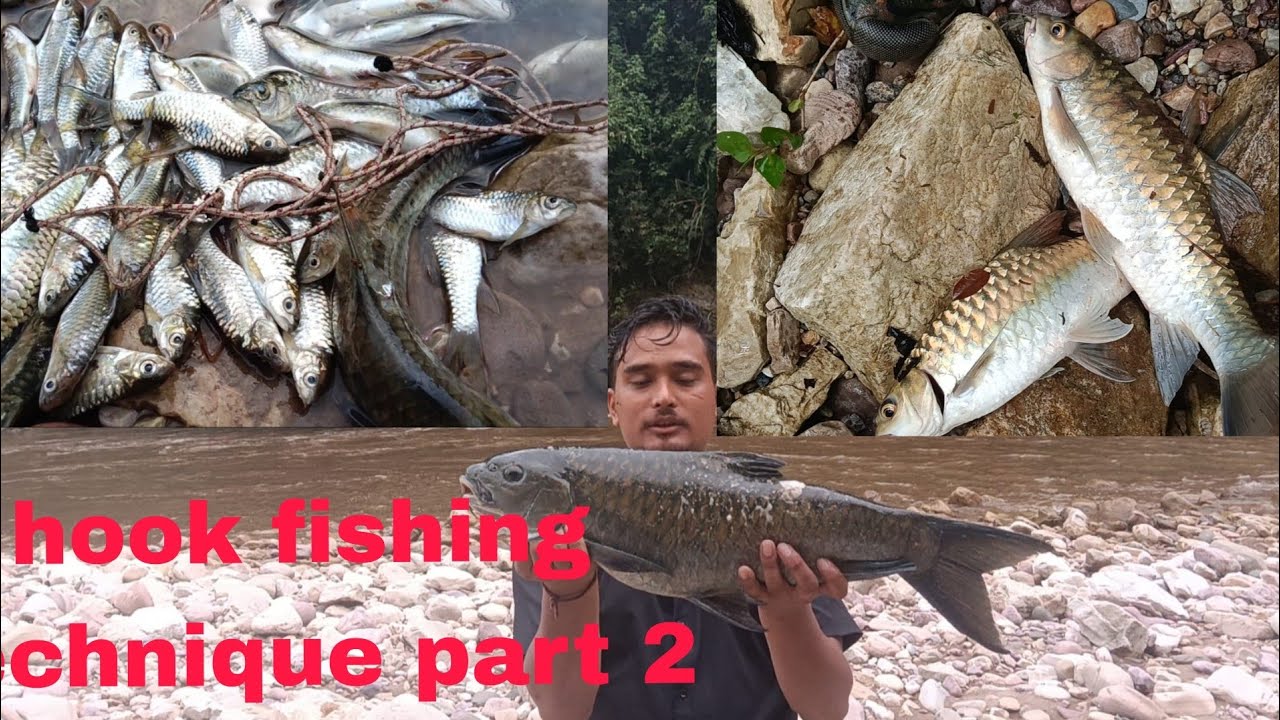 Mera mehnat 😭 hook fishing technique part 2  Arunachal Pradesh🇮🇳 @perlingomle23