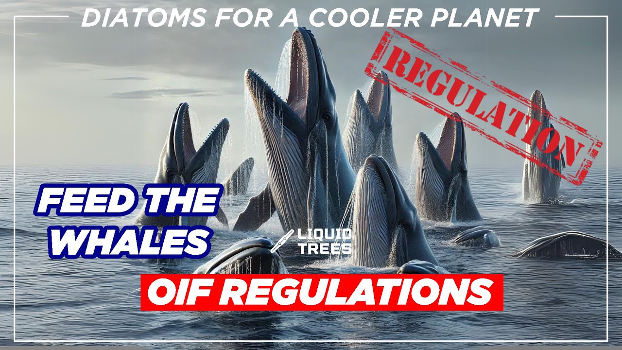 OIF Regulations | Ocean Iron Fertilization | Liquid Trees #015