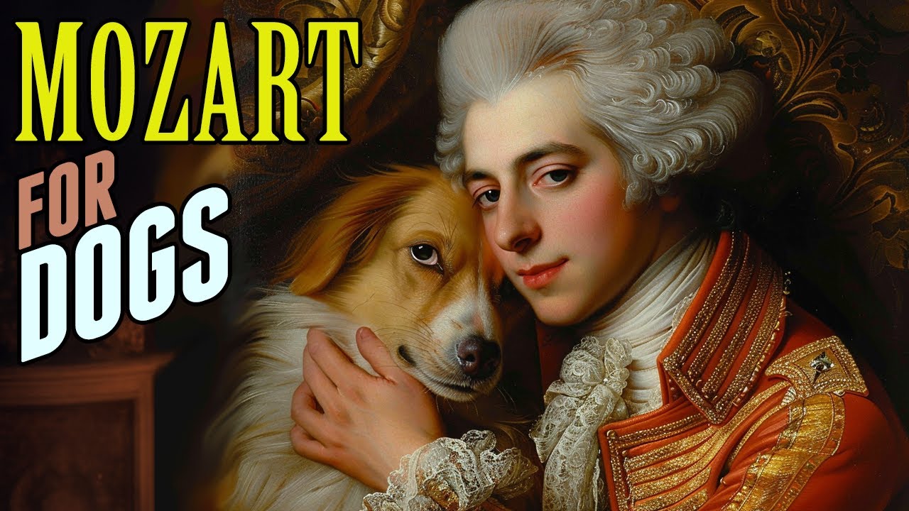 Mozart for Dogs - Classical Music for Dogs, Separation Anxiety Music for Dogs