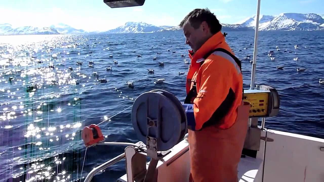 Nord-Fugløy