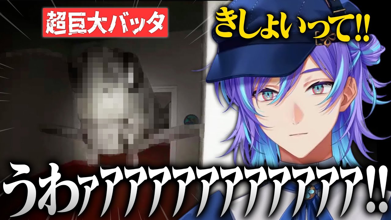 【まとめ/404号室】ゴキブリだけではなくバッタも苦手なことが判明する虫嫌い星導ショウ【にじさんじ/星導ショウ/切り抜き】