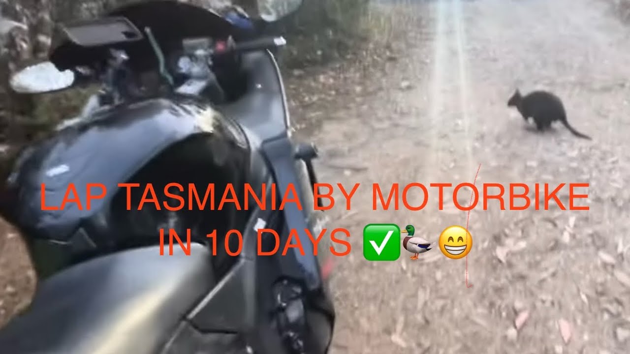 TASMANIA- end of AROUND AUSTRALIA BY MOTORBIKE