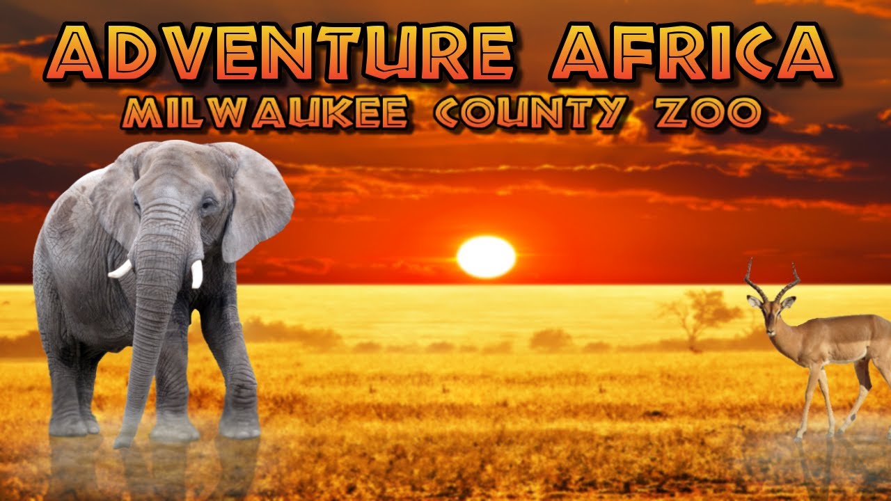 Adventure Africa | Milwaukee County Zoo | Ep. 18