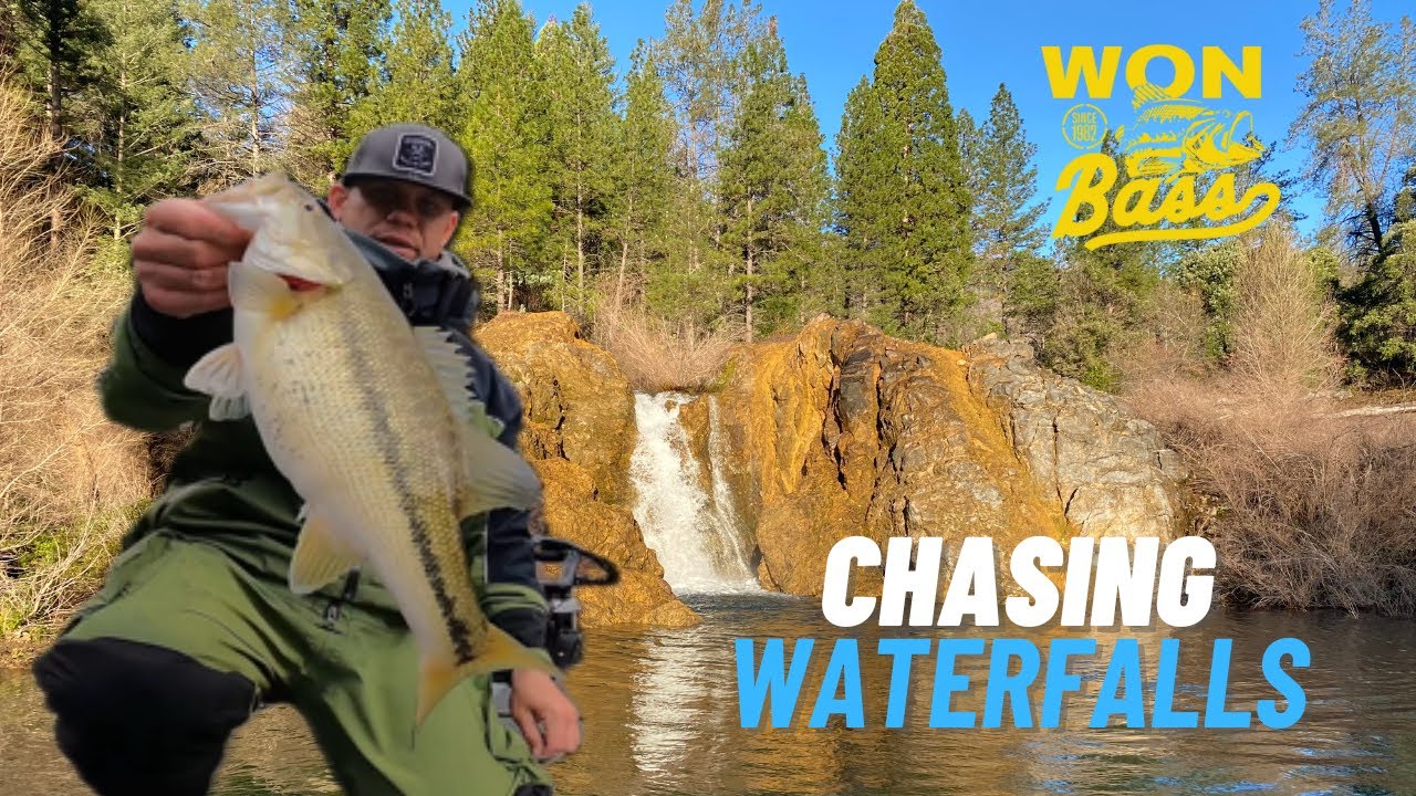 Shasta Lake Won Bass 2024 (Chasing Waterfalls)