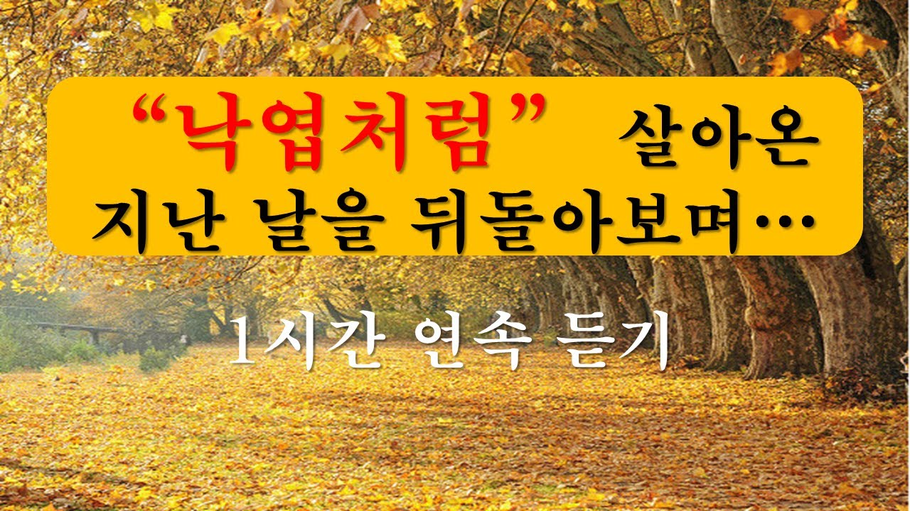 [ 낙엽처럼 ] 1시간 연속 듣기. 구독자 요청으로 만들어보았습니다.#낙엽처럼#기도공동체성가#복음성가#생활성가#이마르띠노찬양선교방송