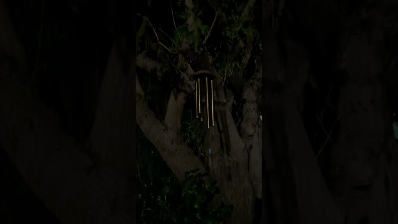 15 Minutes of Peaceful Wind Chimes - Relaxing Nature Sounds for Calm & Sleep