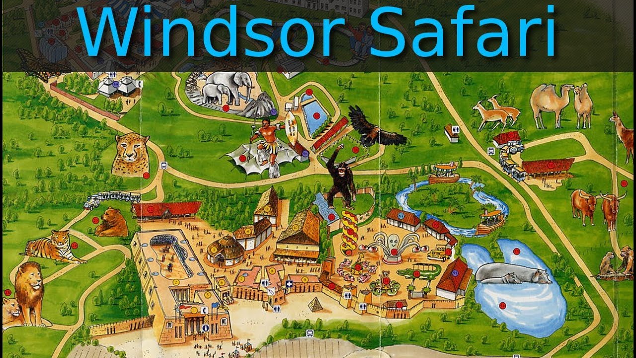 Windsor Safari Park