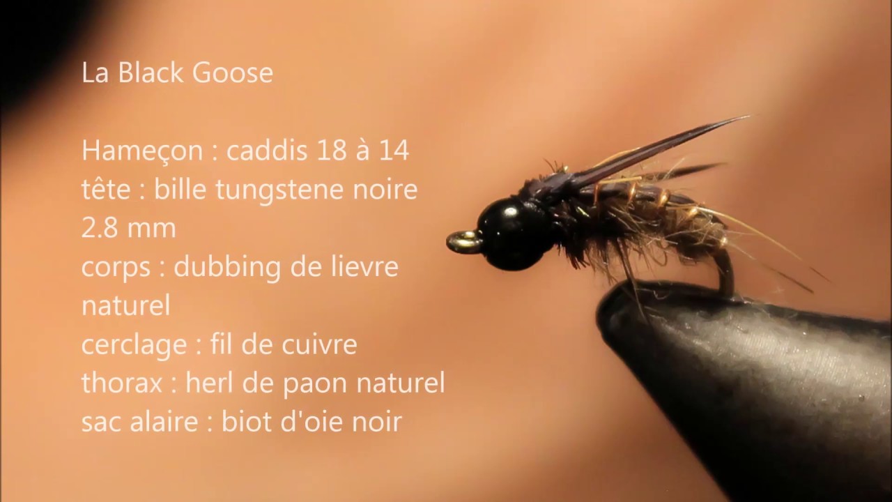 Montage de mouche : La black goose
