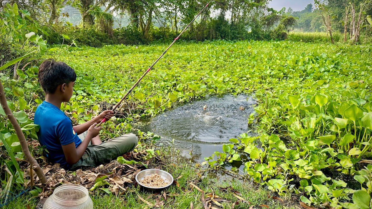 Fishing✅with a hook in an old pond || Hook🎣🐟Fishing ~ Amazon Fishing Life