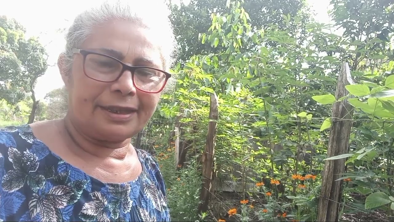 Colheita de banana ,+marido fazendo portão, e plantando mudas de abacaxi.