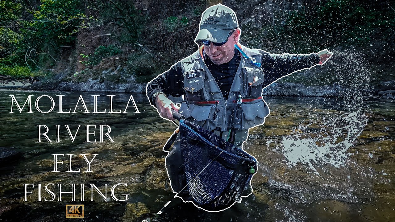 WILD day on Oregon's Molalla River! Mid-Summer Fly Fishing 2023!