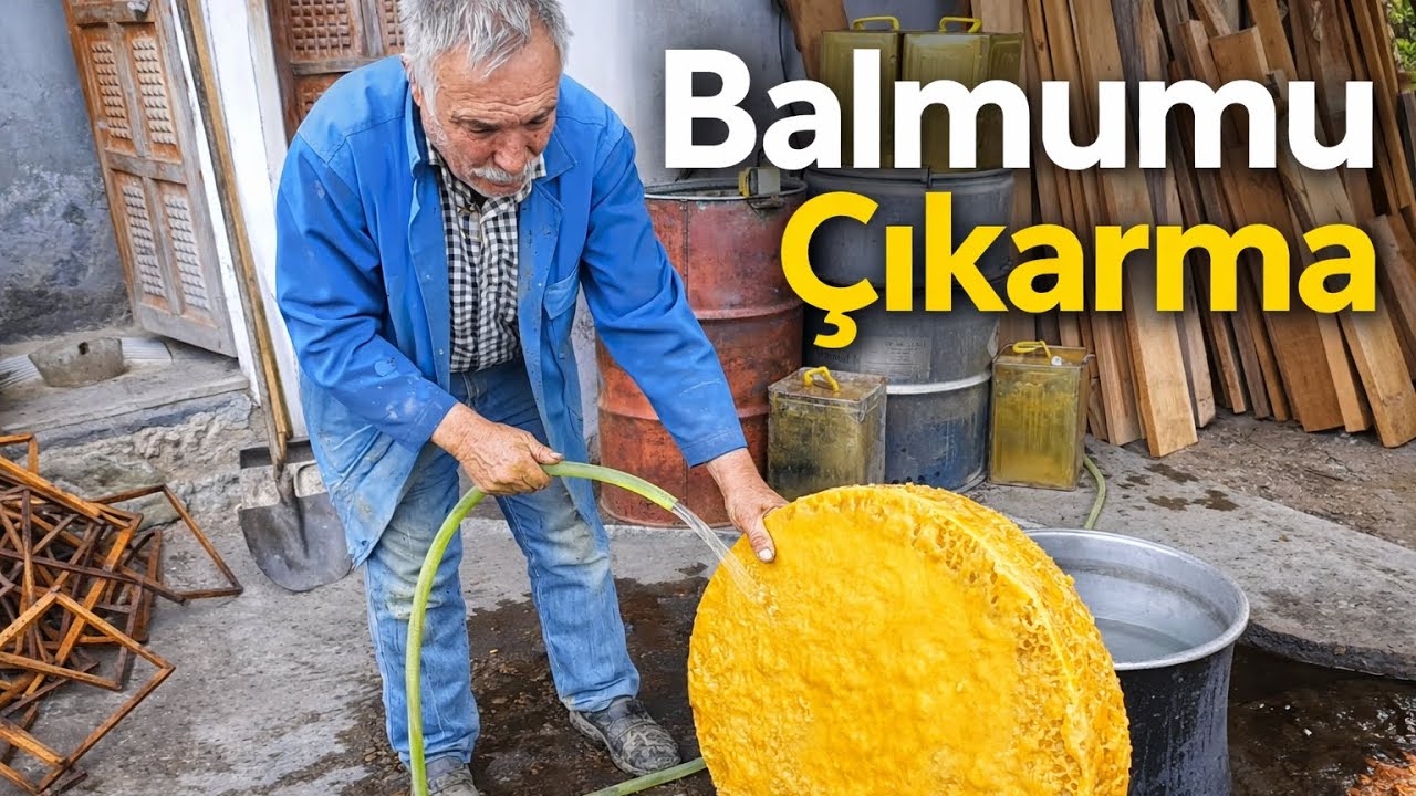 Petek Eritme BALMUMU YAPIMI / Kara Ve Eskileri Geri Dönüştürdük !