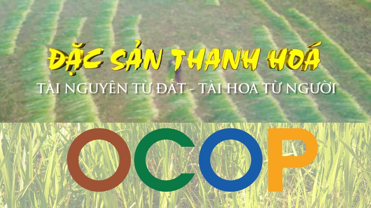 Đặc sản Thanh Hoá: Tài nguyên từ đất - Tài hoa từ người