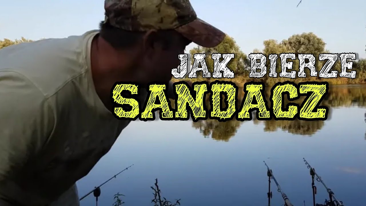 Jak bierze sandacz / porannych drapieżników na spokojnej wodzie  / Kulinaria na rybach steki wołowe