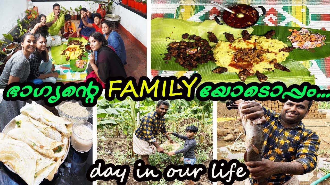 വീട്ടിലെ കിണറിലെ മീനും ഭാഗ്യന്റെ family യും //happy day//അടിപൊളി കപ്പ മീൻ vlog