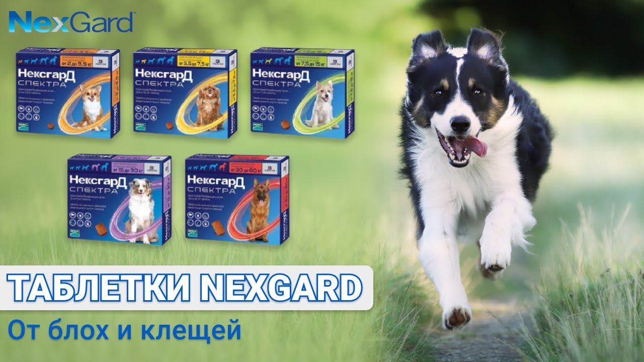 Таблетки NexGard Spectra от блох и клещей для собак