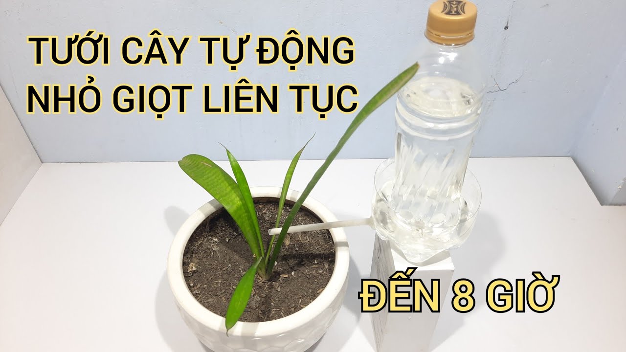 CÁCH LÀM HỆ THỐNG TƯỚI NƯỚC NHỎ GIỌT BẰNG CHAI NHỰA RẤT ĐƠN GIÃN VÀ NHANH CHÓNG