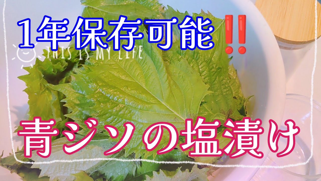 大葉(青シソ)の塩漬け＊長期保存可能です