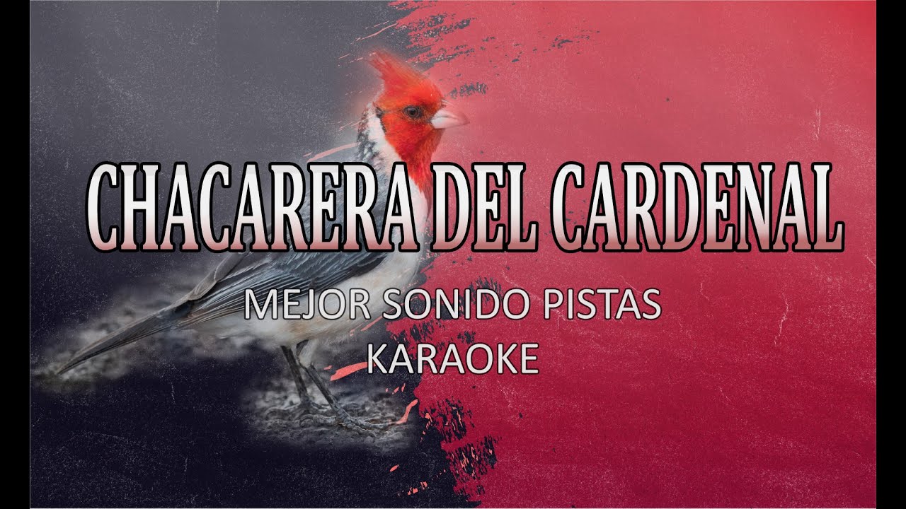 CHACARERA DEL CARDENAL | KARAOKE ESTILO HORACIO BANEGAS EN VIVO | MEJOR SONIDO