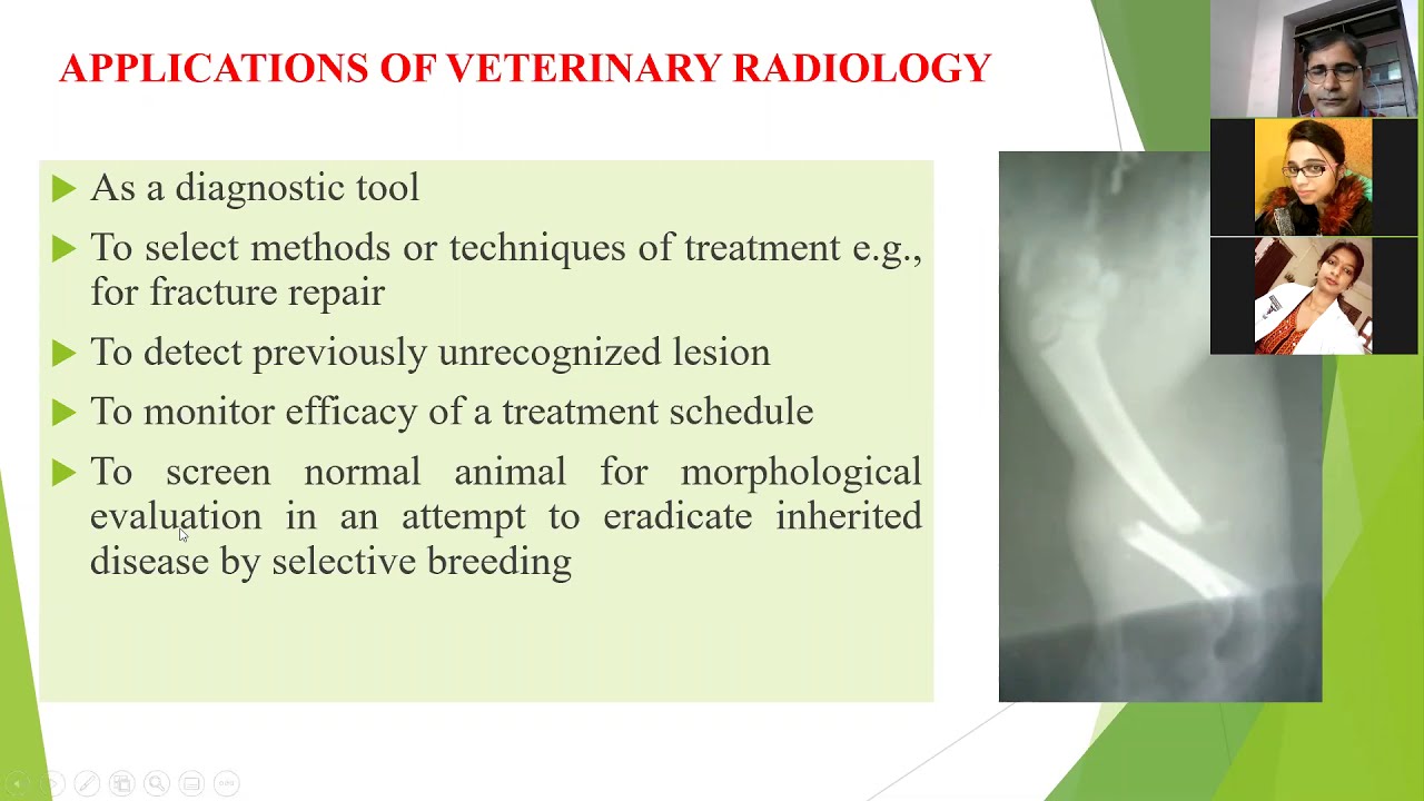 Basics of Veterinary Radiology