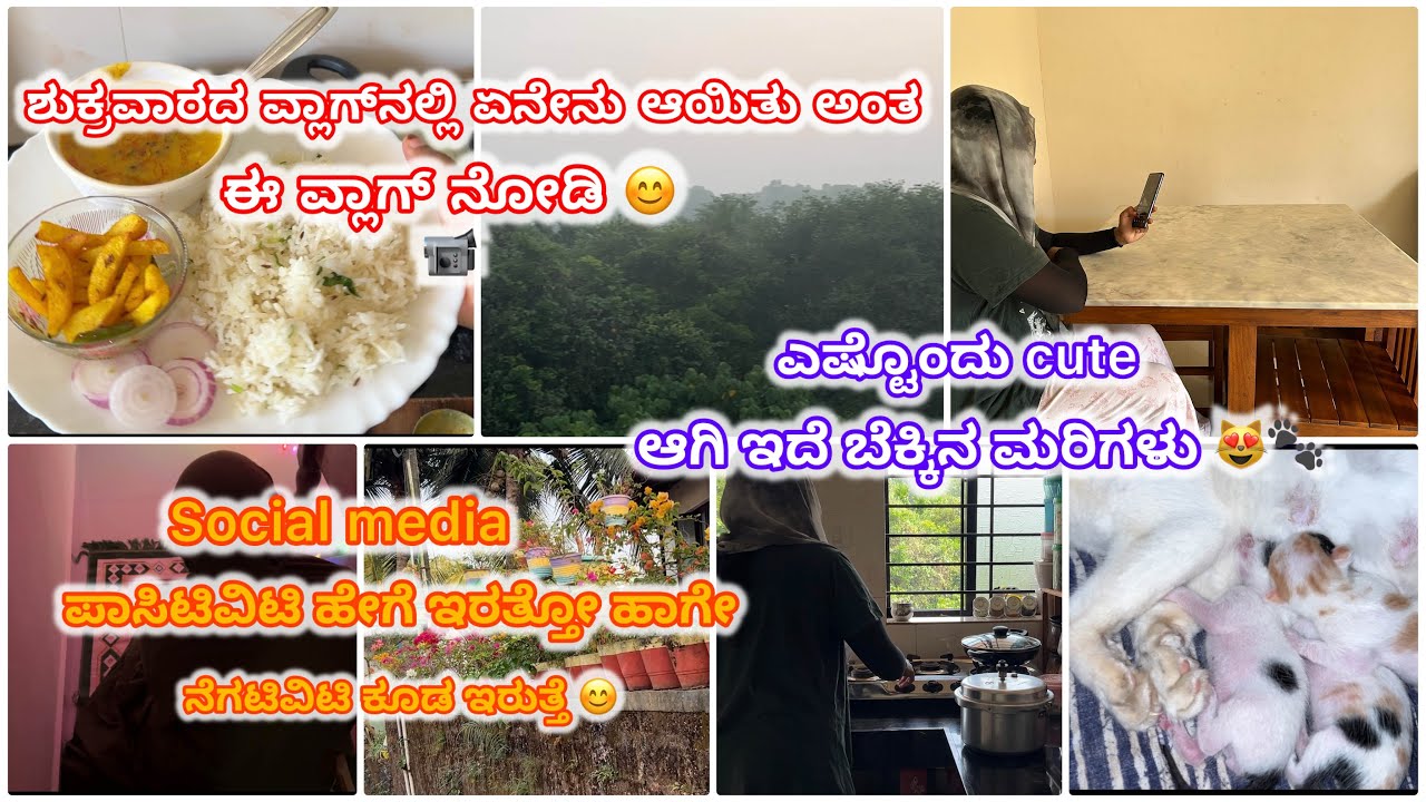 ಪಾಸಿಟಿವಿಟಿ ಮತ್ತು ನೆಗಟಿವಿಟಿ ಇವು ಎರಡು Social Media ದಲ್ಲಿ ಇರುತ್ತವೆ 🌐🙂#vlog 