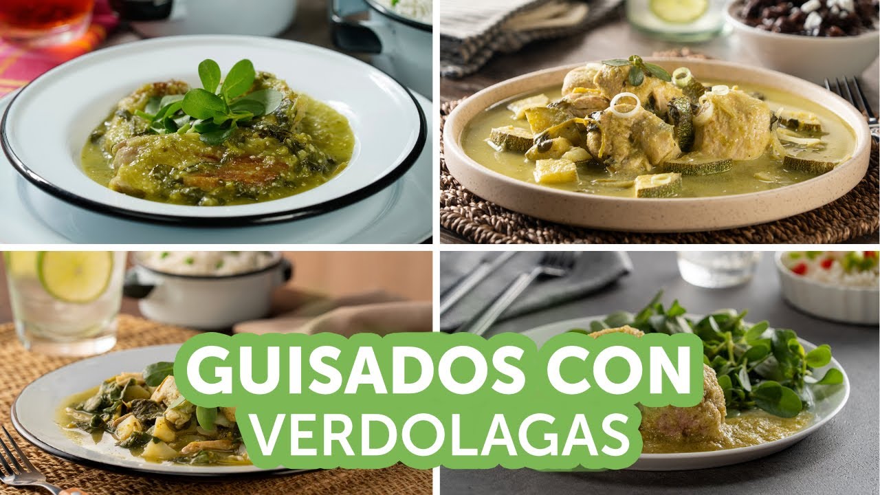 Guisados con verdolagas | Recetas kiwilimón