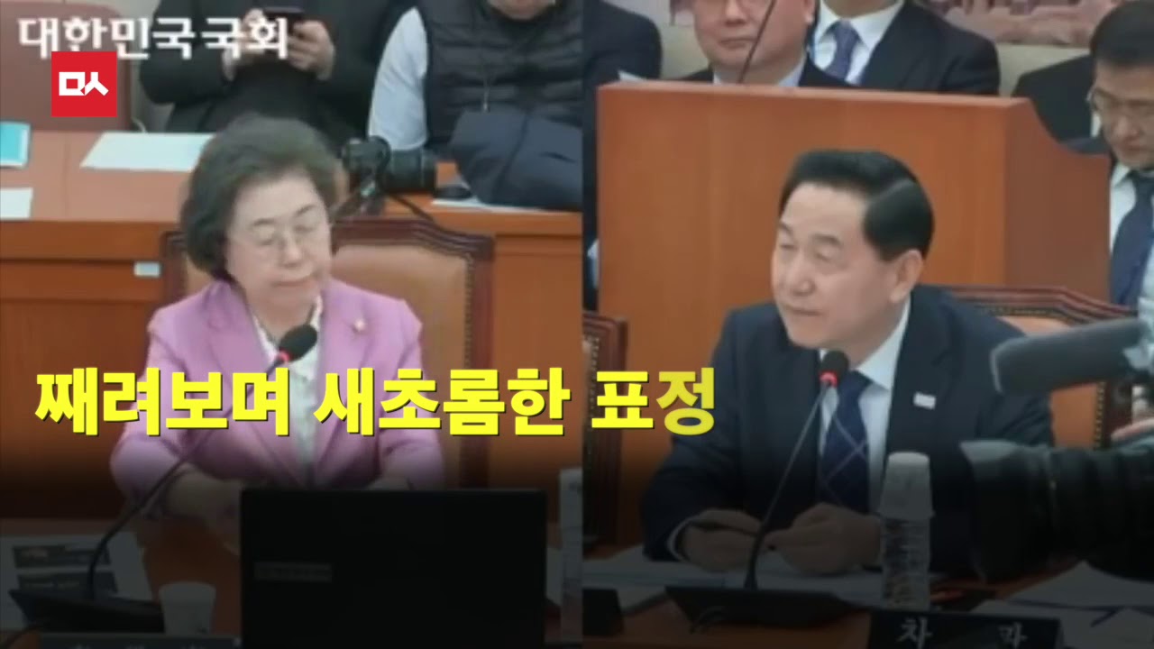 MS 이은재, 겐세이 발언보다 더 놀라운 건 사과를 모르는 직진 막장 태도