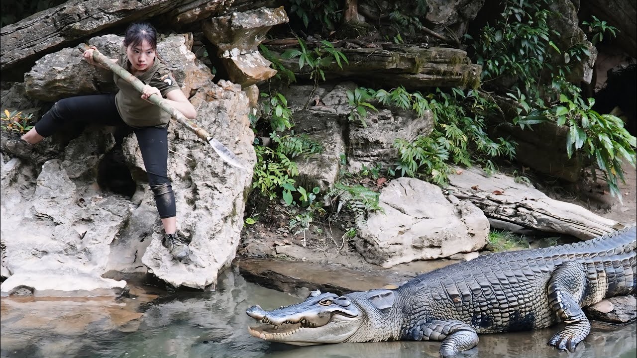 Facing a giant crocodile &ndash; Setting traps and catching fish to survive, survival alone