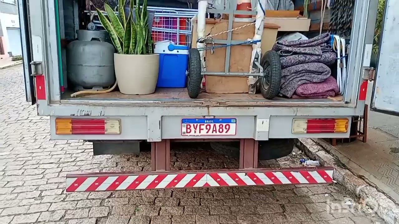 Ajudante diferenciado na mudança 🦣🚚🙏🏼
