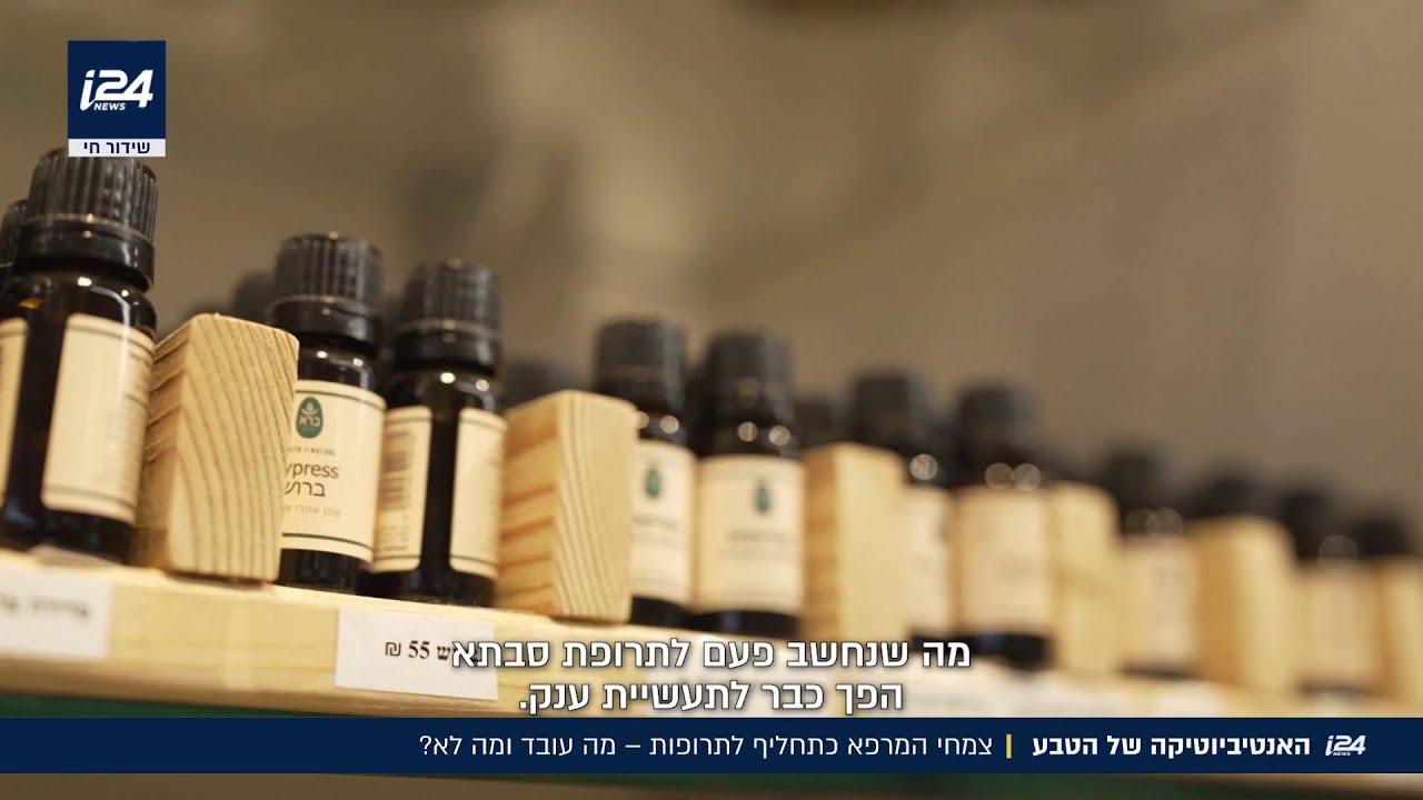 האנטיביוטיקה של הטבע | צמחי המרפא כתחליף לתרופות - מה עובד ומה לא?
