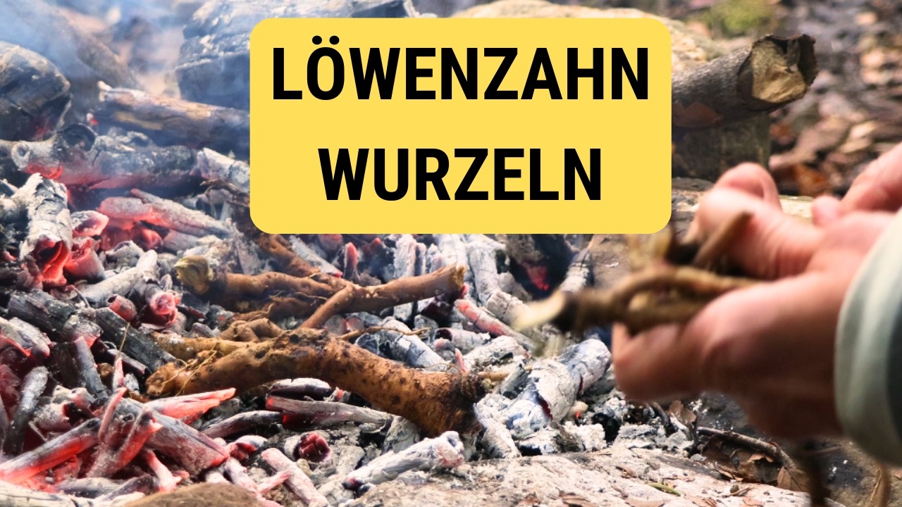 Kennst du schon diesen wunderbaren Herbst Snack? - Wurzeln am Feuer geröstet