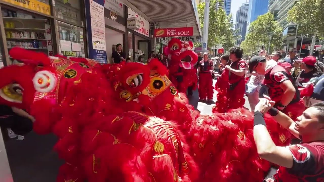 Sydney Haymarket Chinese New Year 2025 Celebration- Lion Dancing